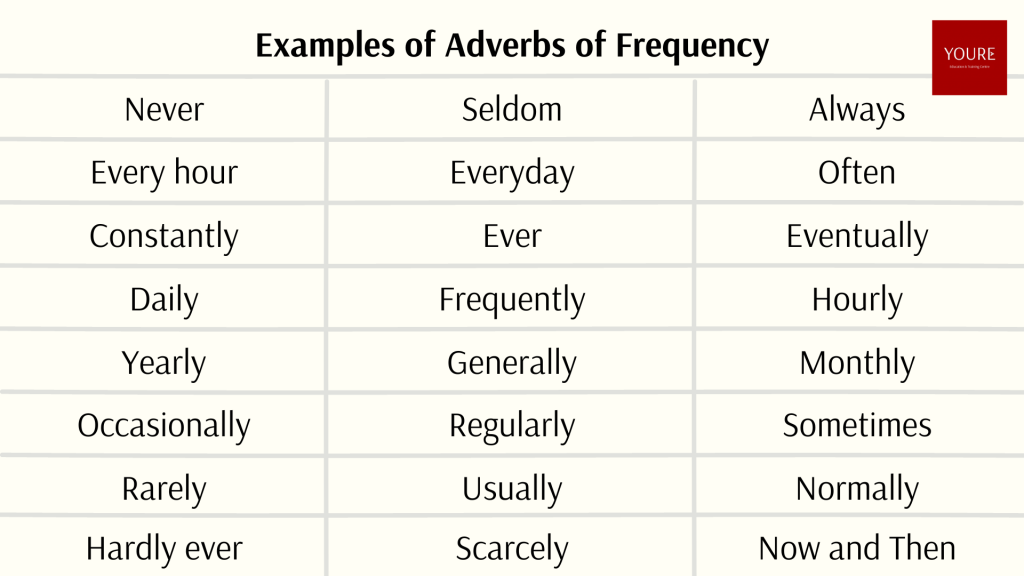 Adverbs of Frequency - Learn Meaning, Definition and Usage with Examples - YOURE