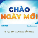 Tự học – Bạn là người dẫn đường