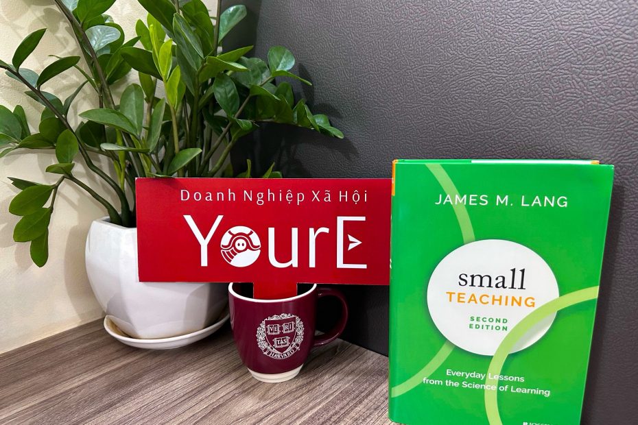 YOUREORG sách Small Teaching
